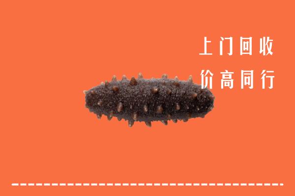 三明回收海参